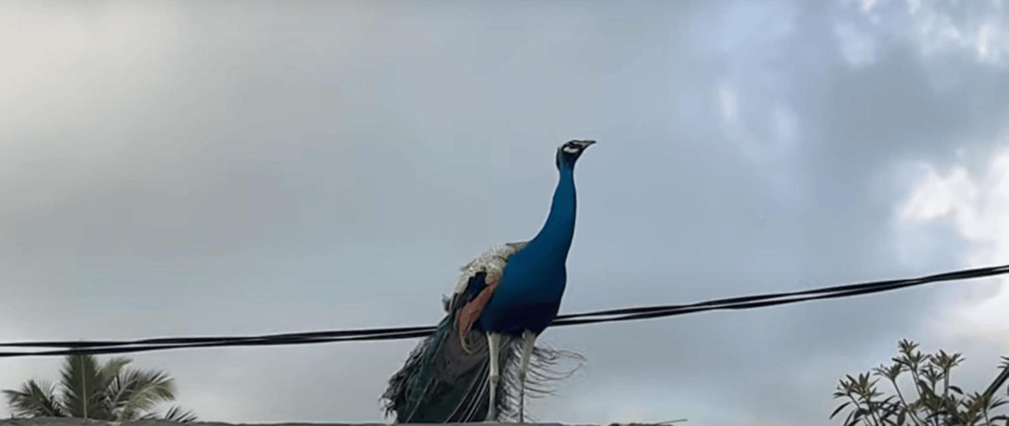 Freedom House Βίλα Unawatuna Εξωτερικό φωτογραφία